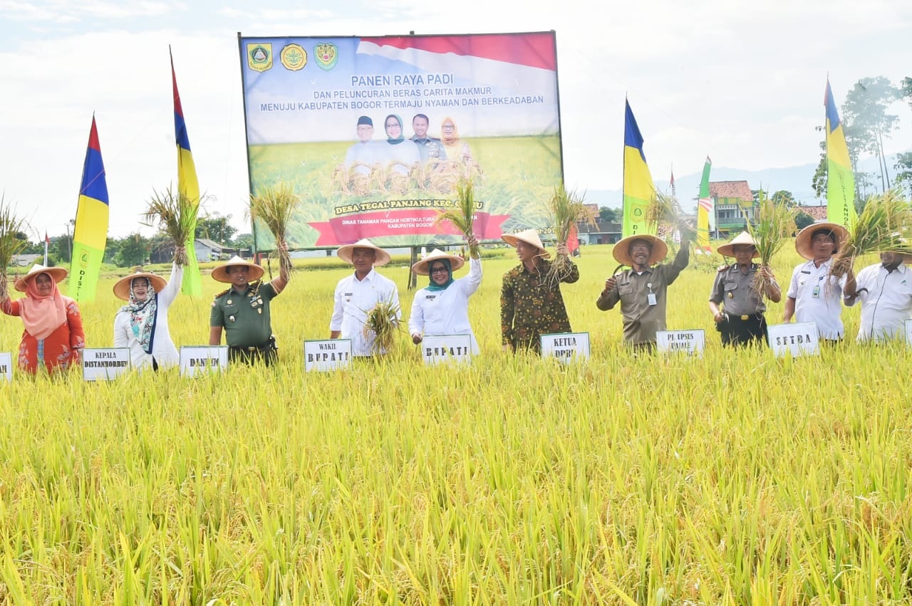 Wujudkan Swasembada Pangan Daerah, Bupati Bogor Launching Beras Carita Makmur Wujudkan Swasembada Pangan Daerah, Bupati Bogor Launching Beras Carita Makmur